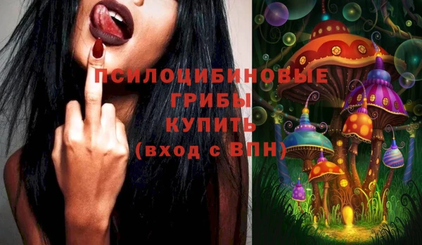 соль ск Алзамай