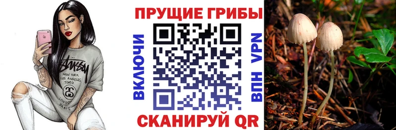 Галлюциногенные грибы ЛСД  Яровое 