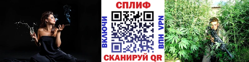 МЕГА как войти Яровое Канабис SATIVA & INDICA